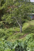 view from road