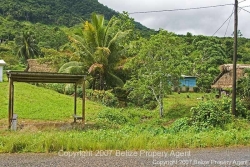 view from road
