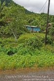 view from road