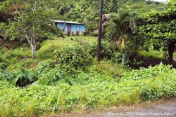 view from road