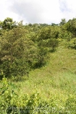 view from road