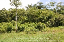 view from road