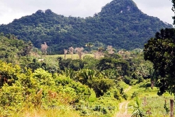 unlceared 50 acres