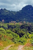 uncleared 50 acres