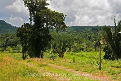 road to properties