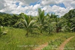 road to properties