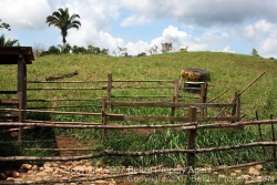 look west pasture