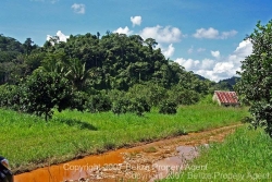 property209_6.jpg