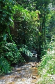 beautiful rivers