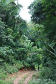 jurassic park...