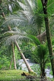 Kent River