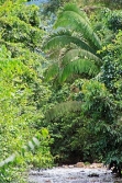 more jurassic views