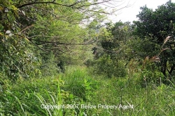 property rear