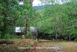 property rear