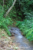 beautiful river