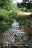 nice river