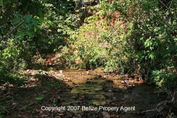all season creek