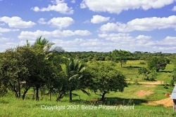 property overview
