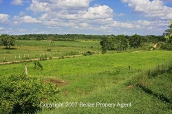 pastureland
