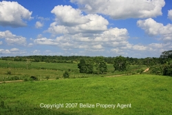 cleared lands