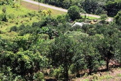property overview