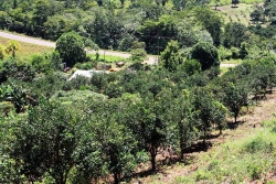 property overview