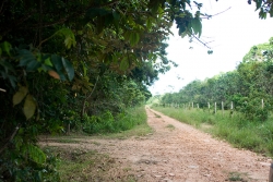 Real Estate in Belize