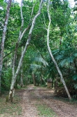 Belize land