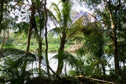 Belize Real Estate