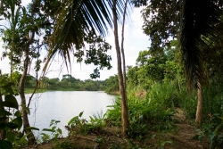 Belize Real Estate