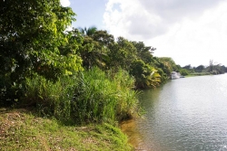 Belize land-Sittee River