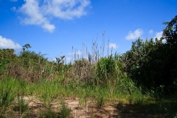 img_3515.jpg