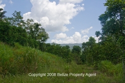 cleared areas