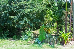 front yard