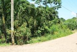 property corner