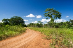 Belize Farmland for sale