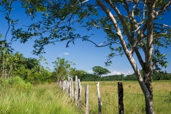 Belize Farms