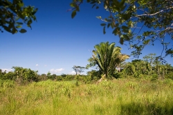Land in Belize for sale