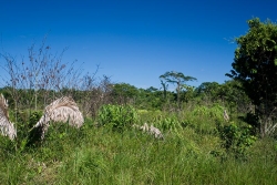 Belize land