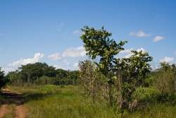 Belize Real Estate