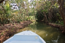 Belize real estate
