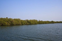 Belize beachfront property for sale