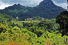 Belize Property Agent