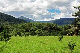 Belize Property Agent
