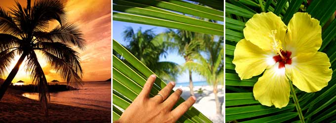 Belize Property Agent