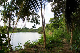 First Choice Belize property including Jungle areages and citrus farms and resorts for sale
