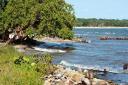 A beautiful beach lot in Mullin’s River Belize