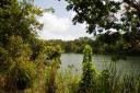 Belize Real Estate-beautiful lots on Sittee River