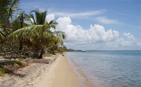 beach-north-of-lot-7a
