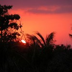 Belize is famous for it's relaxing and alluring jungle sunsets